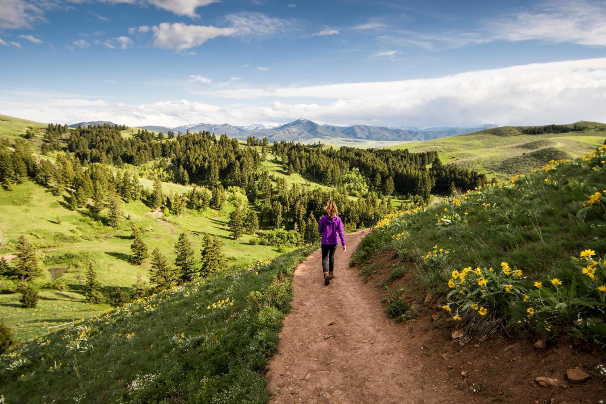 Even Hotel Bozeman Yellowstone Intl Arpt By Ihg Belgrade Buitenkant foto